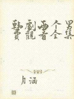 韩剧两个男孩免费观看全集观看