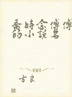 乔时念傅傅景川的小说名
