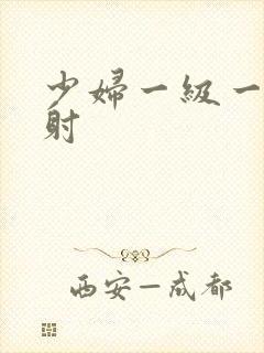 少妇一级一片内射