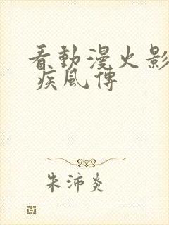 看动漫火影忍者 疾风传