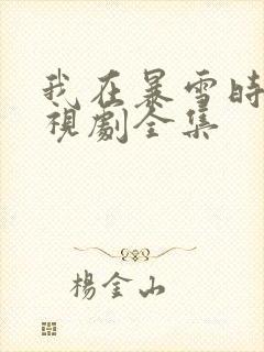 我在暴雪时分电视剧全集封面