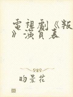 电视剧《叛逆者》演员表