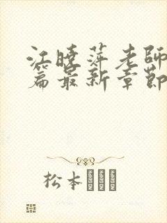 江晓萍老师番外篇最新章节在线阅读