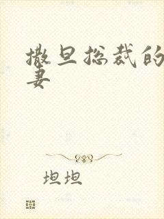 撒旦总裁的下堂妻