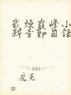 武炼巅峰小说最新章节目录