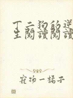 丁二狗的逆袭人生阅读阅读全文