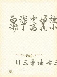 白洁少妇被弄高潮了高义小说