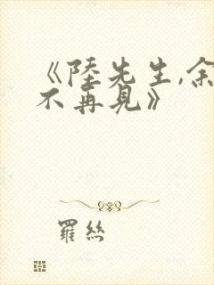 《陆先生,余生不再见》
