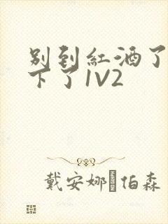 别到红酒了装不下了1V2