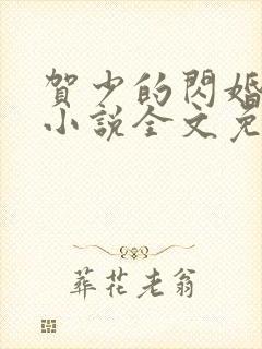 贺少的闪婚暖妻小说全文免费