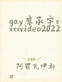 gay廖承宇xxxxvideo2022视频