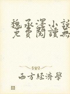 魏承泽小说全文免费阅读无弹窗笔趣封面