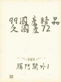 99国产精品久久国产72
