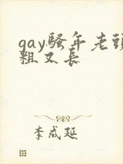 gay骚年老头粗又长封面