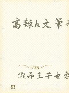 高辣h文笔趣阁