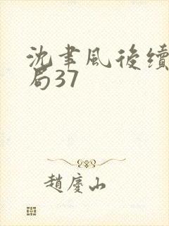 沈聿风后续大结局37封面