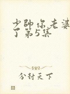 少帅你老婆又跑了第5集