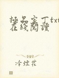 极品家丁txt在线阅读