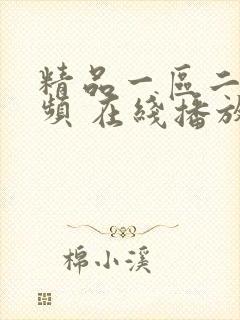 精品一区二区视频 在线播放