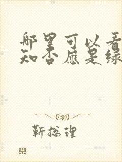 哪里可以看知否知否应是绿肥红瘦