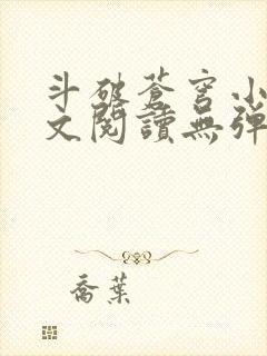 斗破苍穹小说全文阅读无弹窗封面