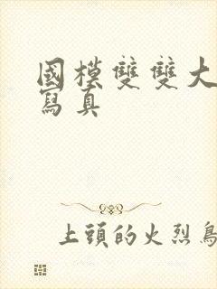 国模双双大尺度写真封面