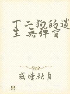 丁二狗的逍遥人生 无弹窗