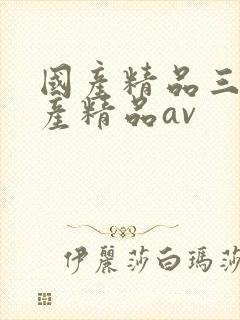 国产精品三级国产精品av