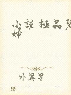 小说 极品儿媳妇