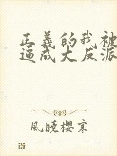 正义的我被系统逼成大反派动态漫