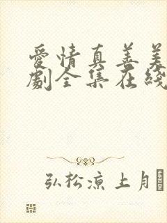 爱情真善美电视剧全集在线观看免费封面