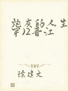 炮灰的人生(快穿)2晋江