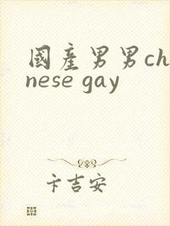国产男男chinese gay