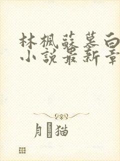 林枫苏慕白穿越小说最新章节更新内容封面