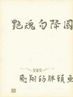 艳魂勾降国语封面