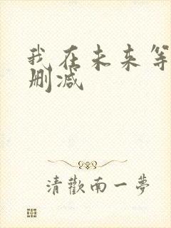 我在未来等你未删减