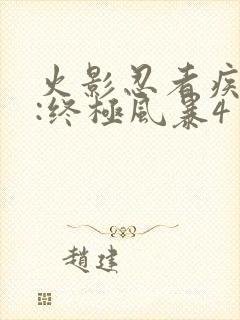 火影忍者疾风传:终极风暴4