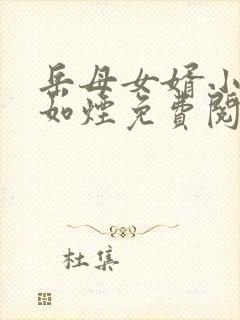 岳母女婿小说柳如烟免费阅读封面