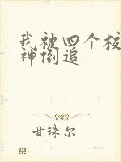 我被四个校花女神倒追封面