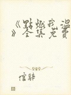 《点燃我温暖你》全集免费电视剧