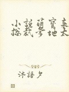 小说萌宝来袭:总裁爹地太难缠封面