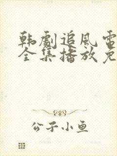 韩剧追风电视剧全集播放免费观看