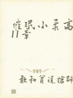 催眠小柔高达第11章