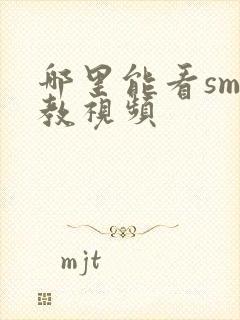 哪里能看sm调教视频