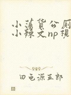 小荡货公厕h文小辣文np视频