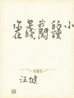 你是我的小确幸在线阅读