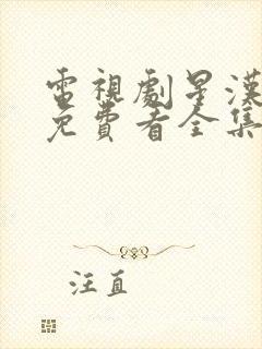 电视剧星汉灿烂免费看全集