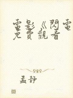 电影《闪电战》免费观看