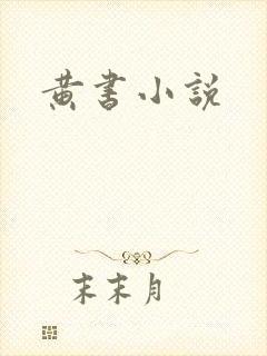 黄书小说