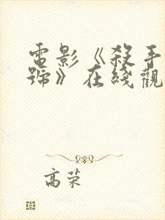 电影《杀手疾风号》在线观看